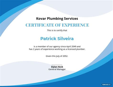 Certificate Of Plumbing Technician .